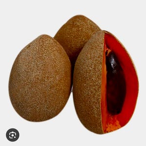 Mamey Sapote Tree - Grafted - Magana 3gl