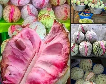 Ilama Pink Annona Grafted Tree - Etsy