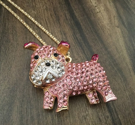 English bulldog with store gold chain