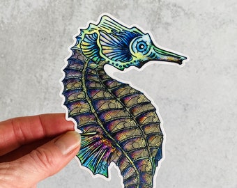 Seahorse sticker, decal for cars, water bottles, skateboards, computers and more!