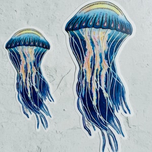 Jellyfish sticker, decal for cars, sticker for water bottles, jellyfish sticker