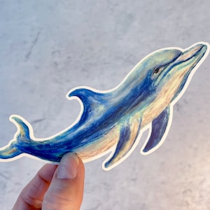 Single Dolphin sticker, decal for cars, water bottles, skateboards, computers and more!