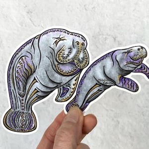 Pelican Perch sticker, decal for cars, sticker for water bottles, pelican sticker