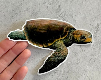 Loggerhead Turtle, realistic turtle, sticker, decal for cars, sticker for water bottles, turtle sticker
