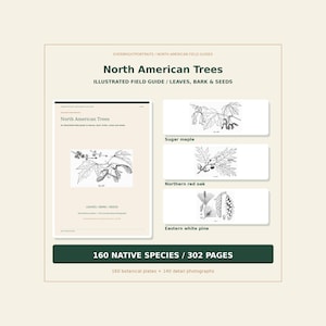 May include: A North American Trees illustrated field guide featuring 160 native species and 302 pages. The cover displays black and white botanical sketches of leaves, bark, and seeds, including sugar maple, northern red oak, and eastern white pine.
