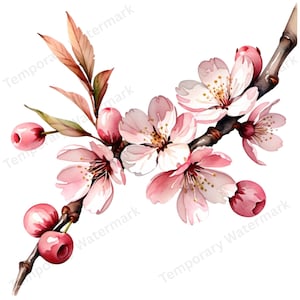 28 Watercolor Cherry Blossom Branch Clipart Set – Sakura Floral Clip Art for Junk Journals, Scrapbooking, Paper Crafts, Digital Download