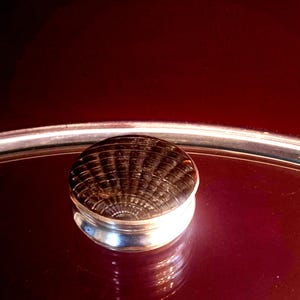Caixa de rapé vintage banhada a prata com tampa e base imitando casco de tartaruga com padrão guilhoché - Pequena imperfeição