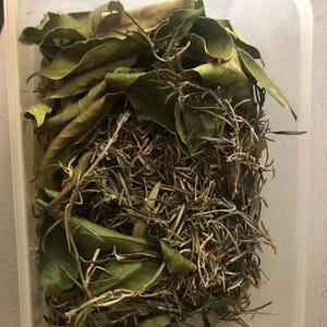 Bag of protective and purifying herbs for the home