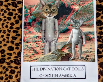 The Divination Cat Dolls of South America