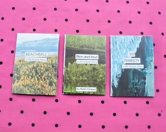 Set of 3 Life Lesson Zines