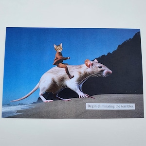 Cat Rat Rider Postkarten, 4er Set, Collageprints