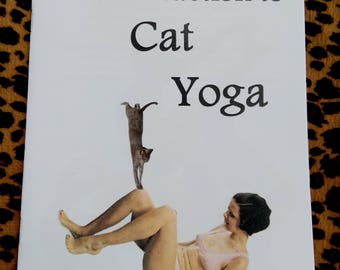 An Introduction to Cat Yoga