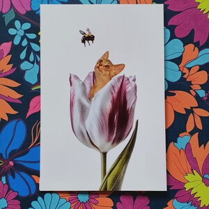 Bumblebee guckt auf eine Collage Grußkarte