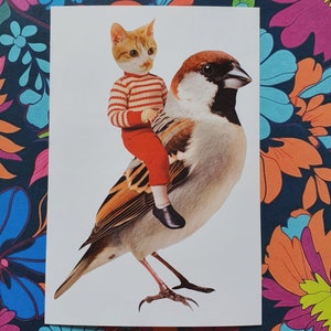 Angus the Sparrow Rider eine Collaged Grußkarte