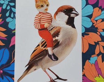 Angus the Sparrow Rider a Collaged Greeting Card