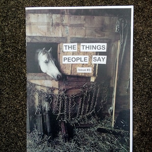 May include: A white horse's head peeks out from a wooden stall. The horse is looking to the left. The stall is filled with hay and a chain. A sign above the horse reads "THE THINGS PEOPLE SAY" with "Issue #3" below it.
