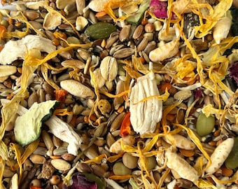 Syrian Hamster Food – Organic Seed Mix with Chicken Protein