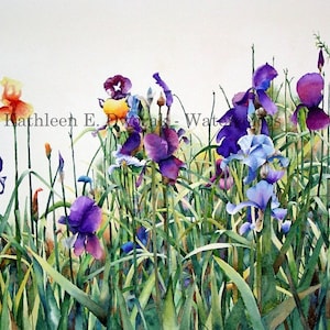 Judy&#39;s Irises- signed limited edition watercolor print