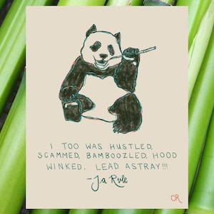 May include: An illustration of a panda bear with a bamboo stick, set against a background of green bamboo stalks. The text reads "I TOO WAS HUSTLED, SCAMMED, BAMBOOZLED, HOOD WINKED, LEAD ASTRAY!!!" signed by Ja Rule.