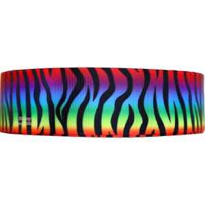 Rainbow Zebra Grosgrain Ribbon: DIY Hair Bow Supplies (7/8&quot; or 1.5&quot;, 3 Yards)