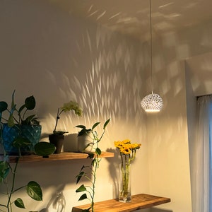 A 6 inch asymmetrical pendant light hangs in a corner. To the right there is a window, and to the left there are shelves adorned with house plants. Patterned projections dance on the nearby ceiling and walls. Below, there is bright direct task light.