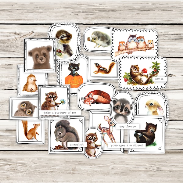 Animal Portraits Vintage Cutouts | Ephemera Pack | Frames, Bear, Wildlife, Squirrel, Owl