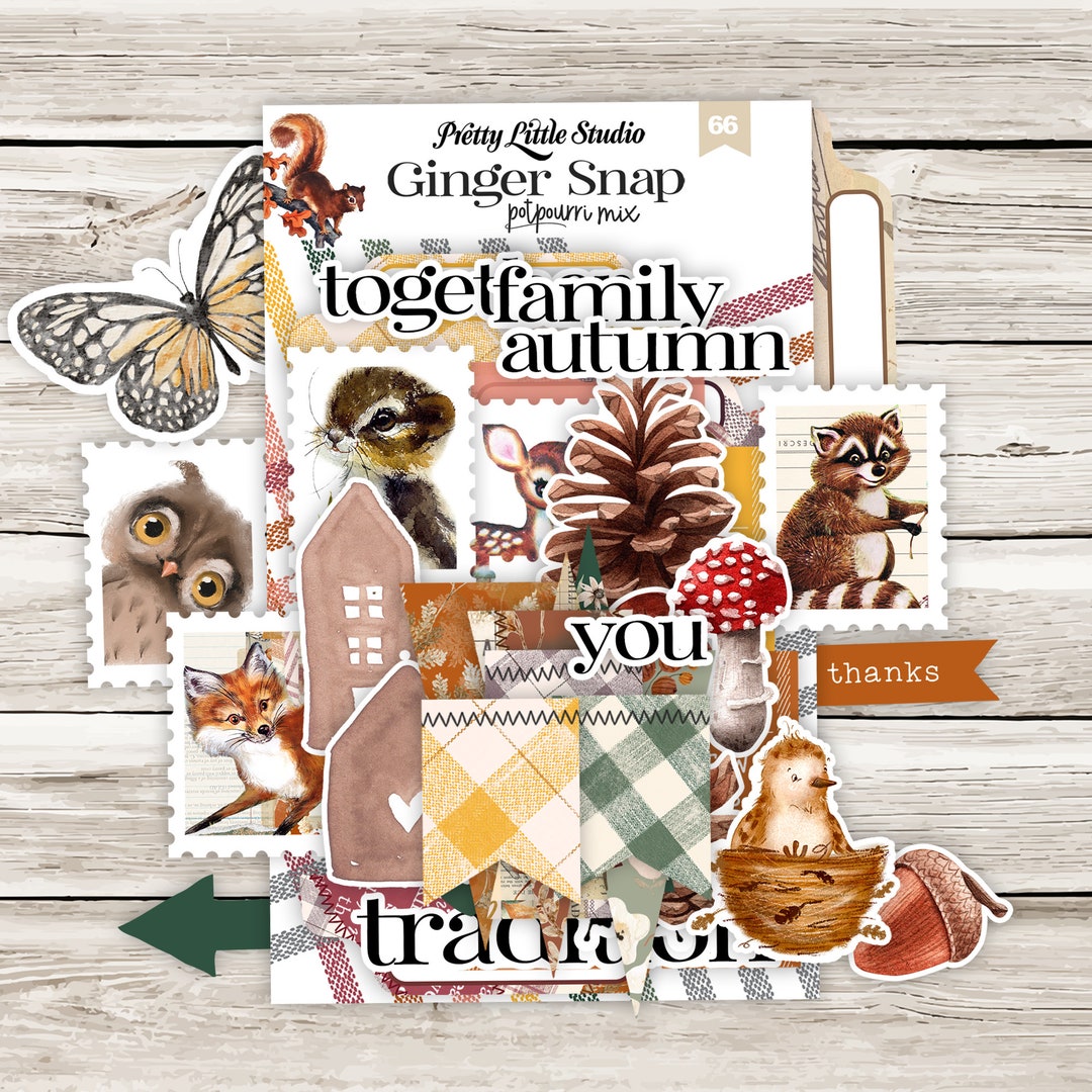 Potpourri Vintage Bits & Pieces Ephemera Pack Scrapbooking Etsy