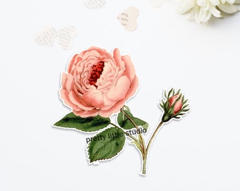 Cutout | Providence Rose 4" Vintage Die-Cut | Botanical, Flower (1 size available: 4 inch )
