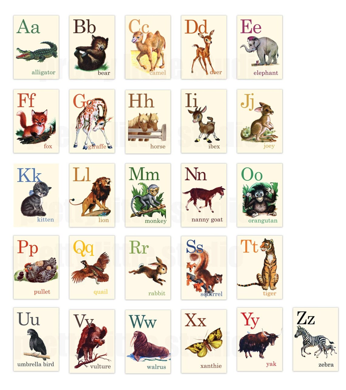 Wild Animal ABC Alphabet Vintage Style Flash Cards Deer - Etsy