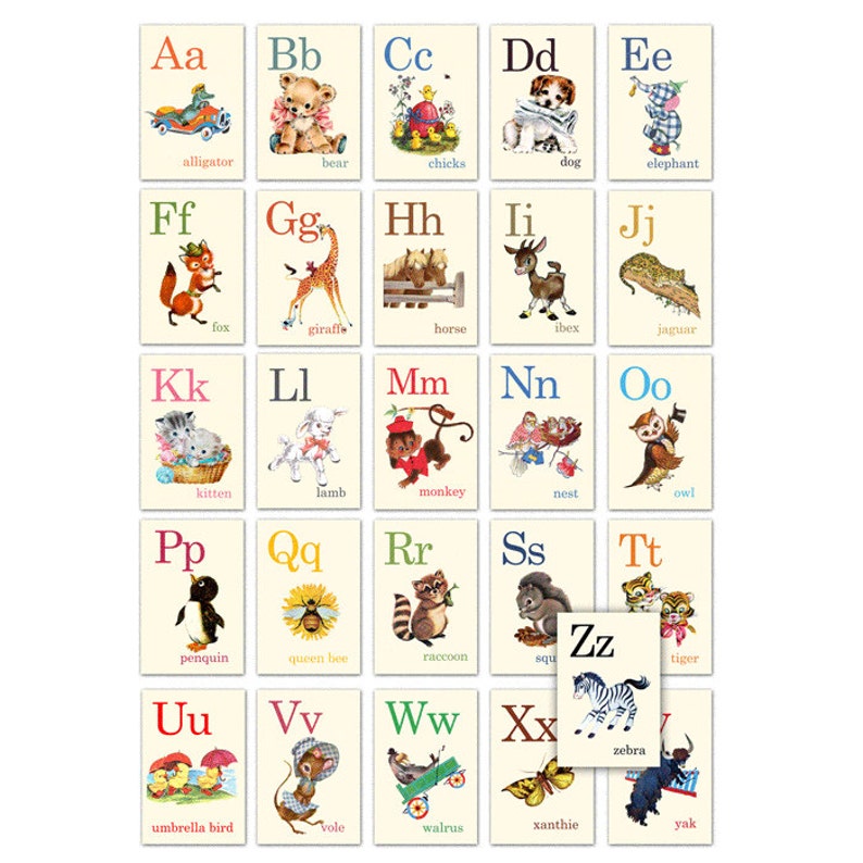 Animal ABC Alphabet Retro Vintage Style Flash cards, raccoon, bee, squirrel, tiger, bear image 4