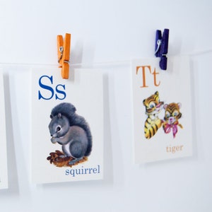 Animal ABC Alphabet Retro Vintage Style Flash cards, raccoon, bee, squirrel, tiger, bear image 3