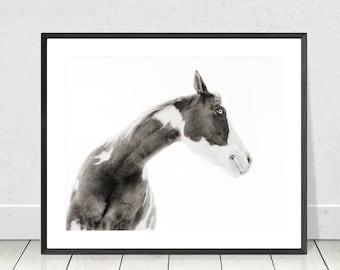 Black and white Horse photography, fine art equine photography, Modern Minimalistic Wall Decor, Wall Art,