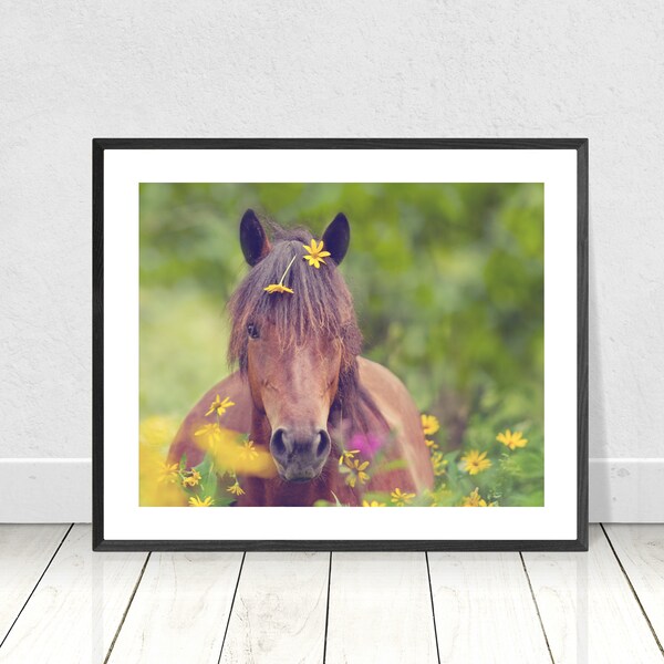 Horse Photography, Pony with flowers in mane, Girl's Room decor, Picture of Horse, Equine Art, Horse Art, Cute Pony