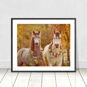 Horse Photography, Two Ponies with flowers, Flower Pony picture, Girl&#39;s Room decor, Picture of Horse, Equine Art, Horse Art, Cute Pony