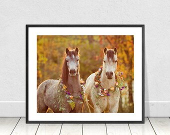 May include: Two gray horses with white markings stand in a field of fall foliage. They are wearing floral wreaths around their necks.