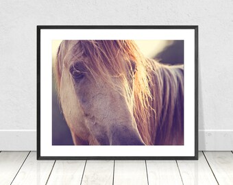 May include: A close-up of a horse's face, with soft, light brown fur and a gentle expression. The horse's mane is flowing in the wind, and the sun is shining on its face.