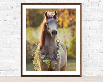 May include: A gray horse with a flower crown and a floral garland around its neck. The horse is standing in a field with a blurred background of trees and foliage.