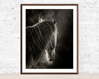 May include: A black and white photograph of a horse's head and neck. The horse is looking to the side, and its mane is flowing in the wind. The background is blurred, and there are bokeh lights.