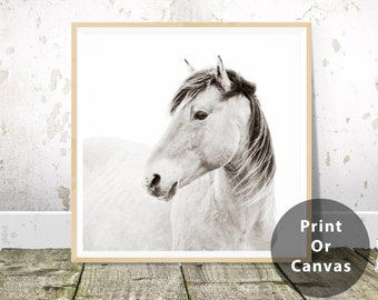 Wild Horse Photography, Wild Horse on Carrot Island Portrait, Black and white horse photography