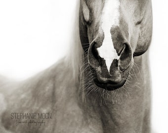 Black and White Fine Art Horse Photography,  fine art horse photo black and white, abstract horse photography, Horse Art, Horse Picture