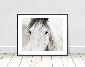 May include: A black and white photograph of a white horse's face. The horse's eyes are looking directly at the camera.