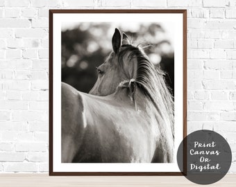 Horse Photography, black and white horse photography, fine art equine photography, Horse Poster, Horse Picture