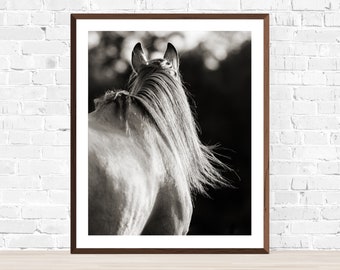 May include: Black and white photograph of a horse's rear end and flowing mane, taken from behind the animal. The horse is standing in a field with a blurred background.