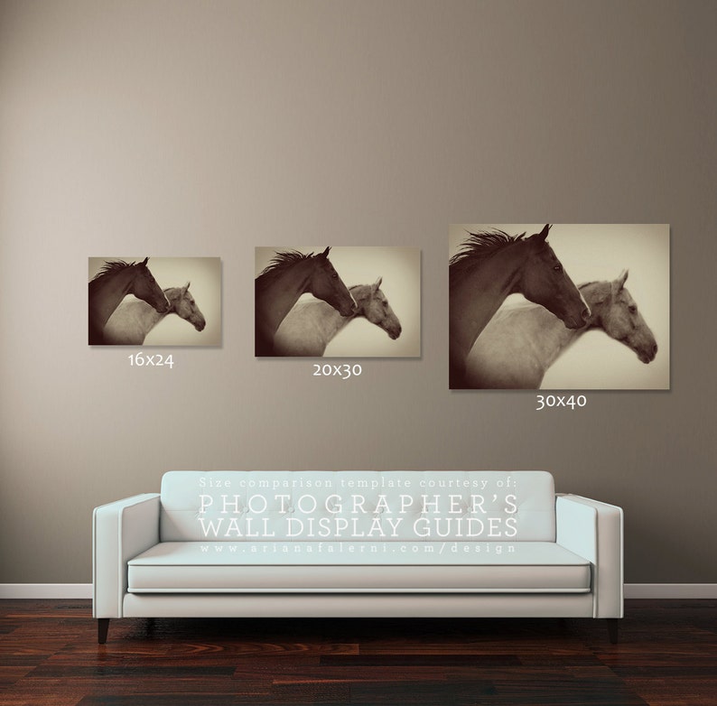 Horse Photography, Black and White Horse Photography, Fine Art Equine Photography, Sepia Horse