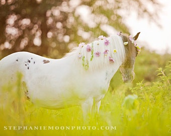 May include: A white and brown spotted horse with a long white mane decorated with pink and white flowers. The horse is standing in a field of green grass.