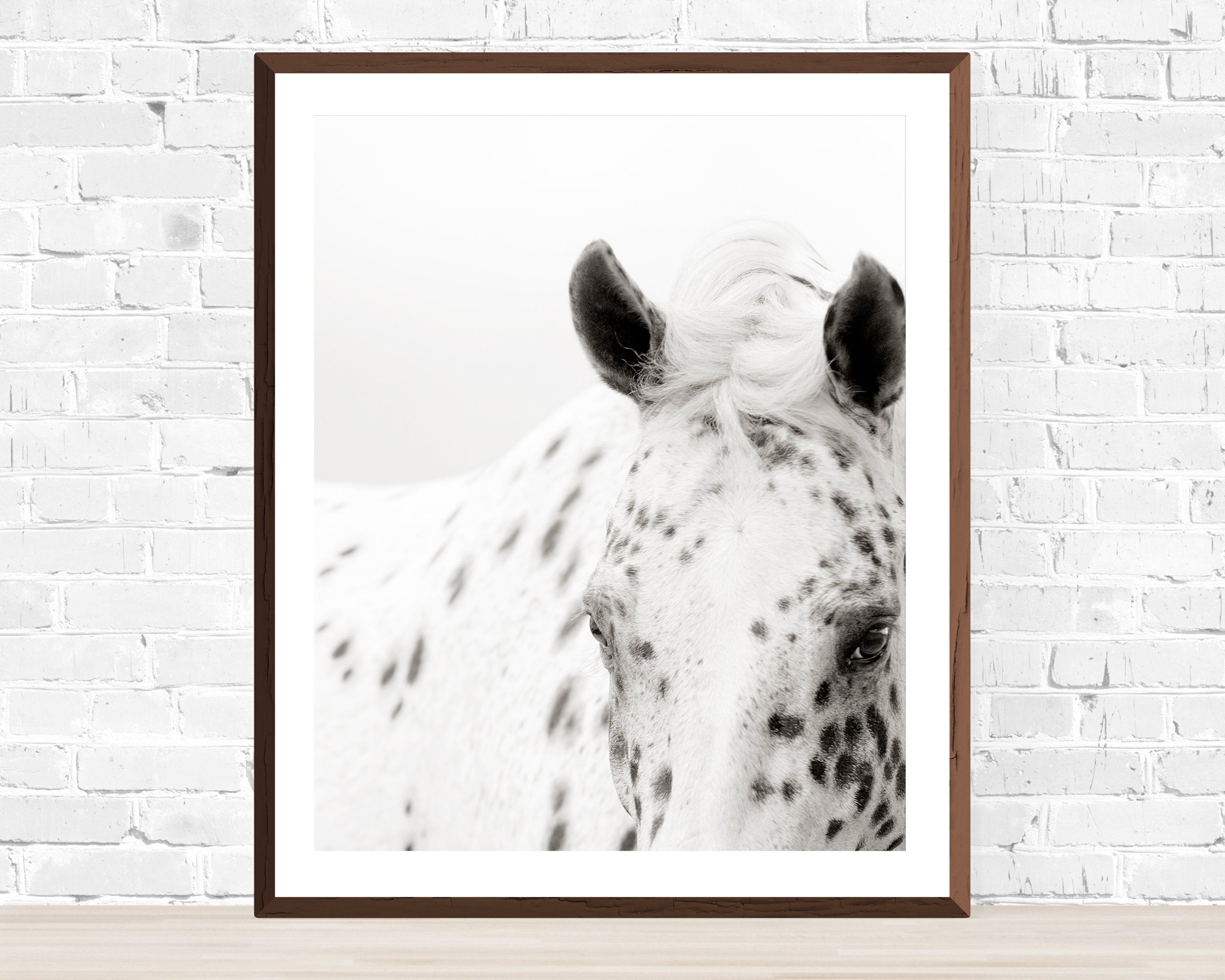 Grand imprimé encadrée-Belle étalon blanc photo poster cheval animal art