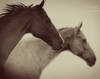 Horse Photography, black and white horse photography, fine art equine photography, Sepia horse art print, Surreal Horse Photography