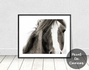 May include: A black and white photograph of a horse's head and neck. The horse has a white stripe down its face and its mane is flowing in the wind.