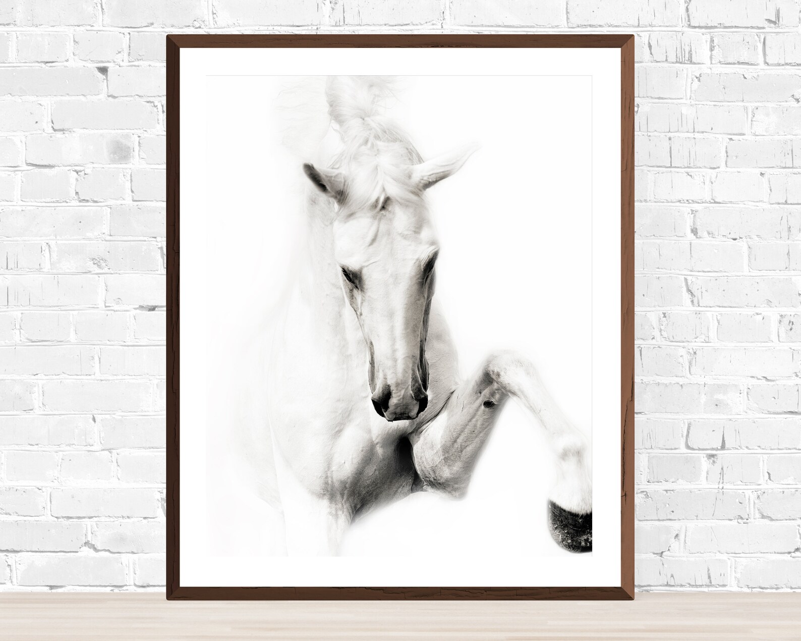 Horse Photography Black and White Horse Photography Fine Art Etsy