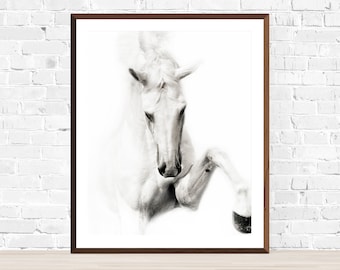 Horse Photography, black and white horse photography, fine art equine photography, Horse Picture, Horse poster, White Stallion